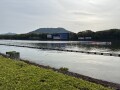 IMG_6818.jpg