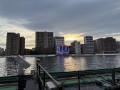 IMG_6967.jpg