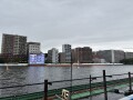 IMG_7004.jpg