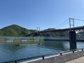 IMG_7137.jpg