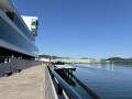 IMG_7152.jpg