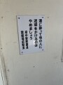 IMG_7216.jpg