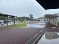IMG_7391.jpg