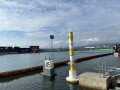 IMG_7448.jpg