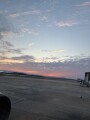 IMG_7462.jpg