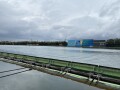 IMG_7547.jpg