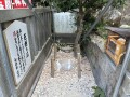 IMG_7589.jpg