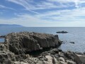 IMG_7686.jpg