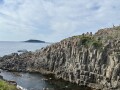 IMG_7692.jpg