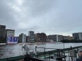 IMG_7830.jpg IMG_7830.jpg