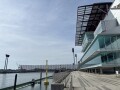 IMG_7903.jpg
