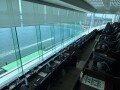 IMG_7865.jpg