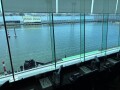 IMG_7871.jpg