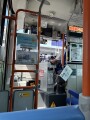 IMG_7934.jpg
