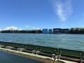 IMG_8095.jpg