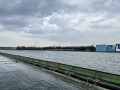 IMG_8113.jpg
