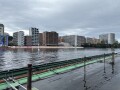 IMG_8127.jpg