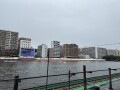 IMG_8150.jpg