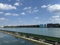 IMG_8178.jpg