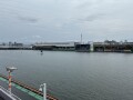 IMG_8236.jpg