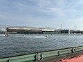 IMG_8251.jpg