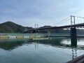 IMG_8291.jpg