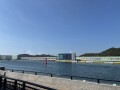 IMG_8309.jpg