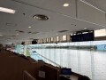 IMG_8377.jpg