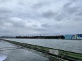 IMG_8384.jpg