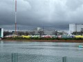 IMG_8440.jpg