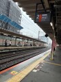 IMG_8451.jpg