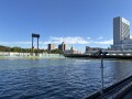 IMG_8501.jpg