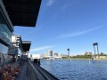IMG_8502.jpg