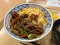 IMG_8575.jpg