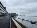 IMG_8597.jpg