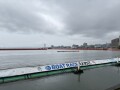 IMG_8599.jpg