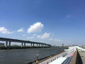 IMG_7708.jpg IMG_7708.jpg