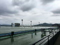 IMG_7975.jpg