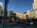 IMG_8339.jpg