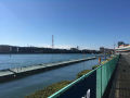 IMG_8625.jpg