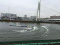 IMG_9271.jpg