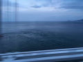 IMG_9494.jpg IMG_9494.jpg