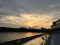 IMG_9646.jpg