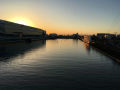 IMG_9675.jpg