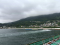 IMG_1245.jpg IMG_1245.jpg