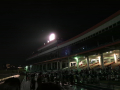 IMG_1368.jpg