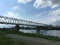 IMG_1440.jpg