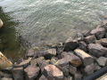 IMG_1894.jpg IMG_1894.jpg