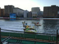 IMG_3669.jpg