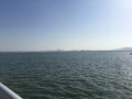 IMG_4380.jpg IMG_4380.jpg